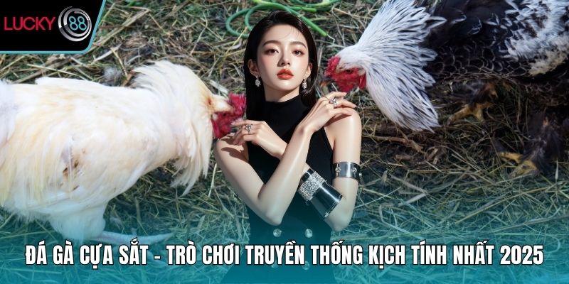 Đá gà cựa sắt