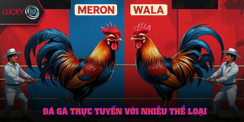 Đá gà hấp dẫn hơn với nhiều thể loại